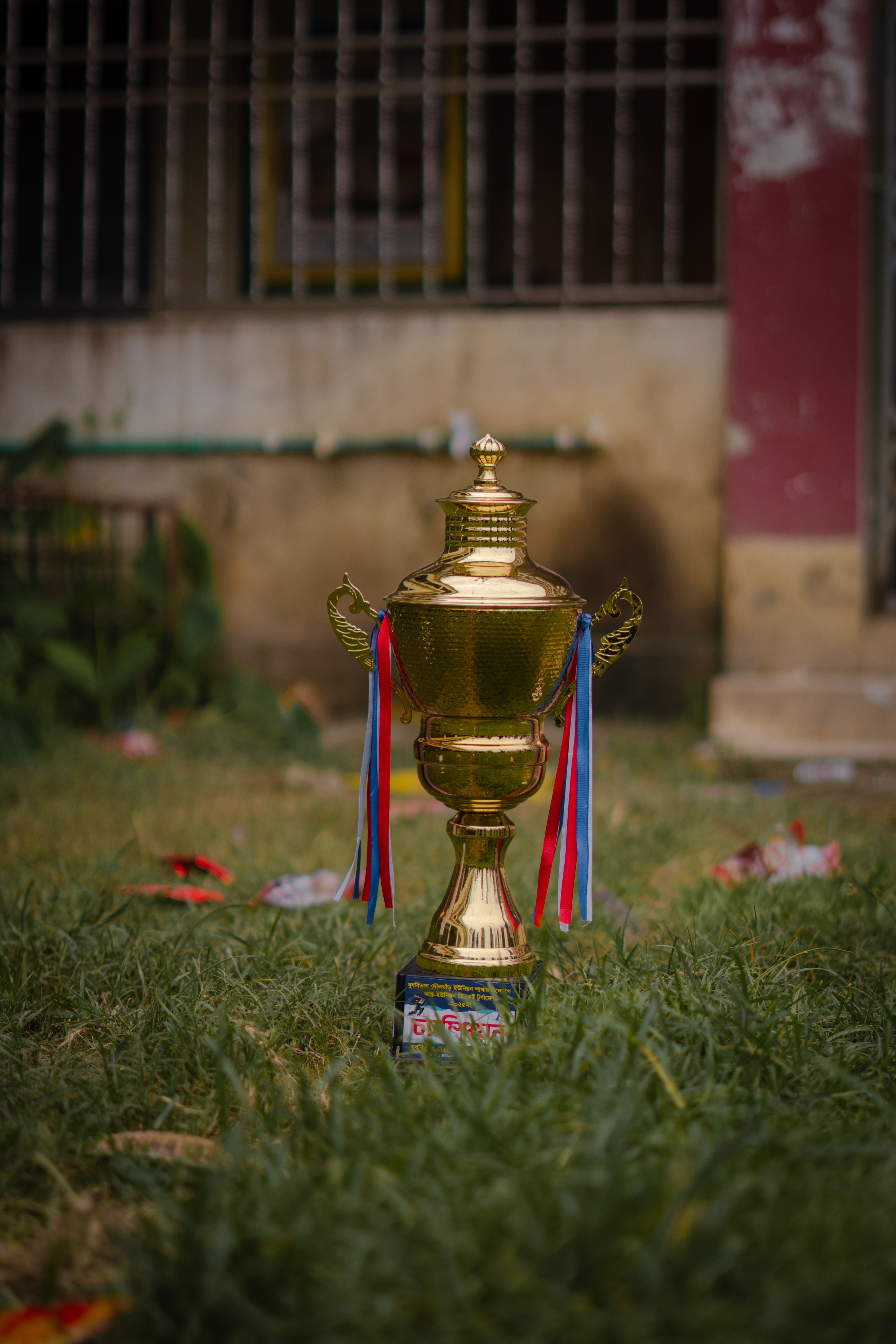 A cricket bat and ball on the pitch — the sport that gave the Ranji Trophy its name